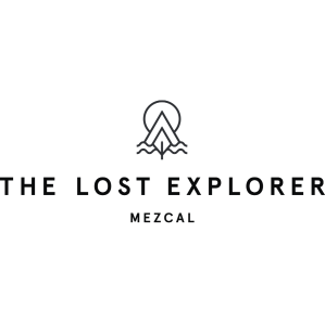 The Lost Explorer